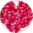 Hetty de Ruiter profielfoto