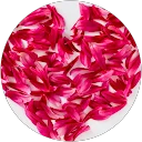 Hetty de Ruiter profielfoto